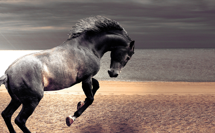 南京恒網網絡公司