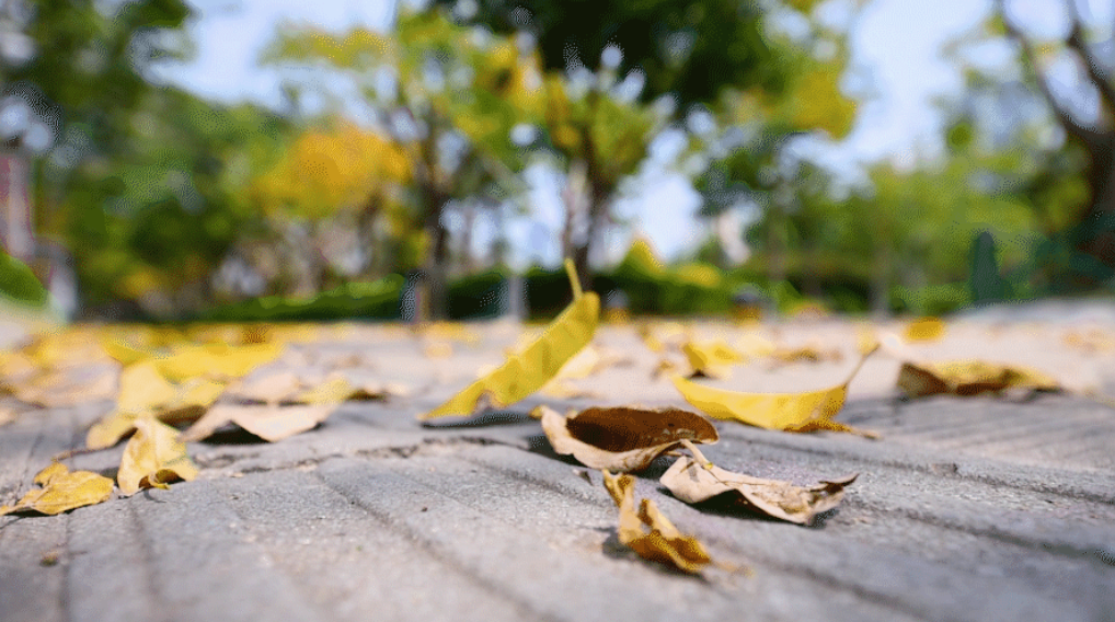 1566539900(1).jpg 1566539900(1).jpg