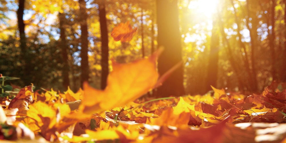 1568946567.jpg 1568946567.jpg